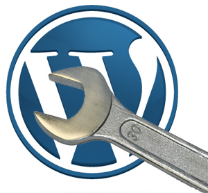 WordPress plugin laten ontwikkelen?